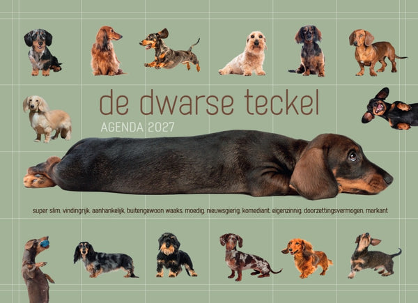 De Dwarse Teckel-agenda 2027