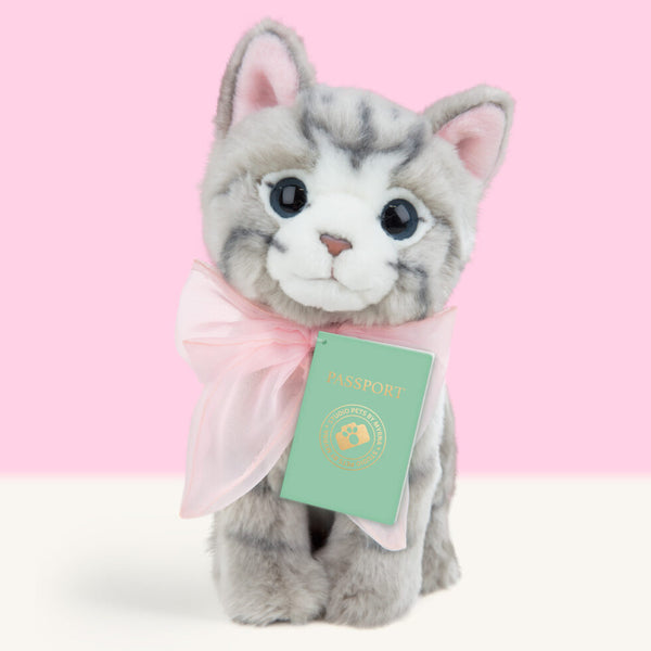 Bella – Britse Korthaar Kitten Knuffel 23 cm