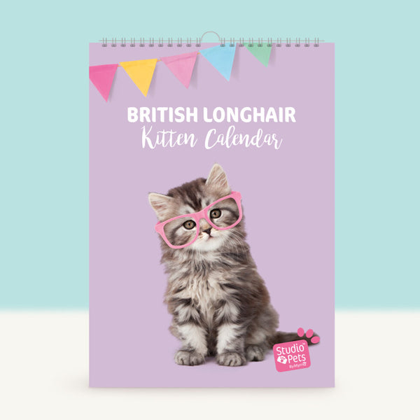Verjaardagskalender Maandplanner - Britse Langhaar Kitten Editie