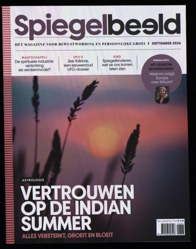 SPIEGELBEELD 2607